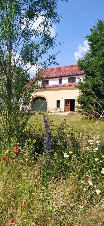 Ferienhof-Kuehn Hochkirch Buitenkant foto