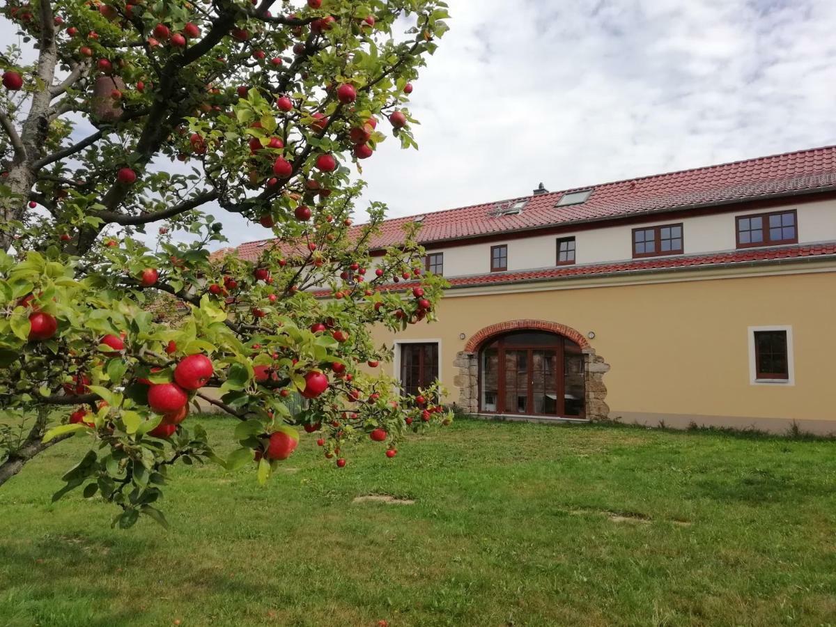 Ferienhof-Kuehn Hochkirch Buitenkant foto